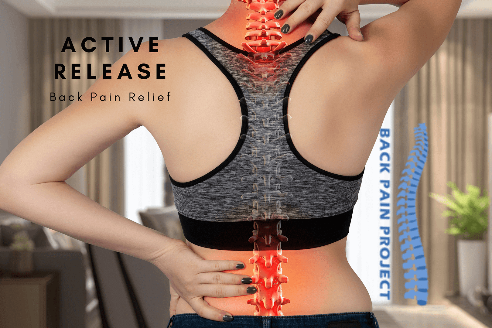The Back Pain Project